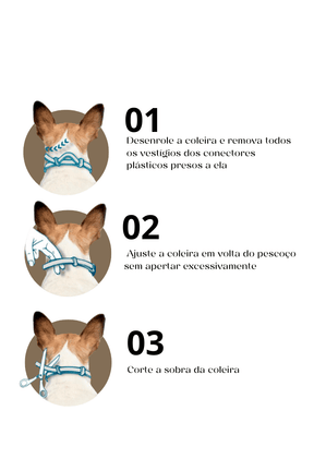 Coleira Antipulgas de Silicone para Cães e Gatos - Select