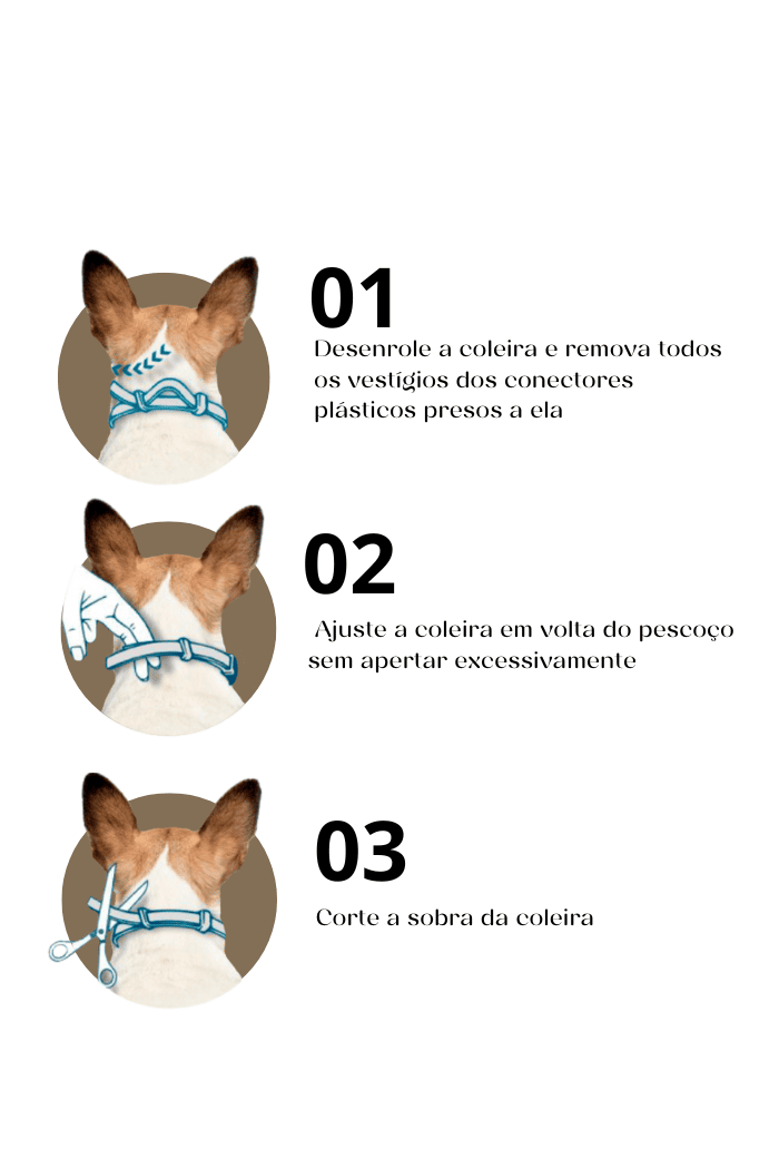 Coleira Antipulgas de Silicone para Cães e Gatos - Select