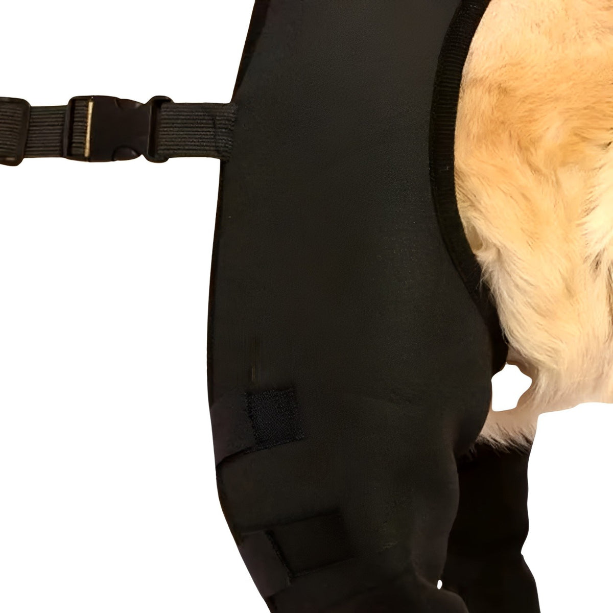 Suporte Para Pernas Traseiras de Cachorro - Select