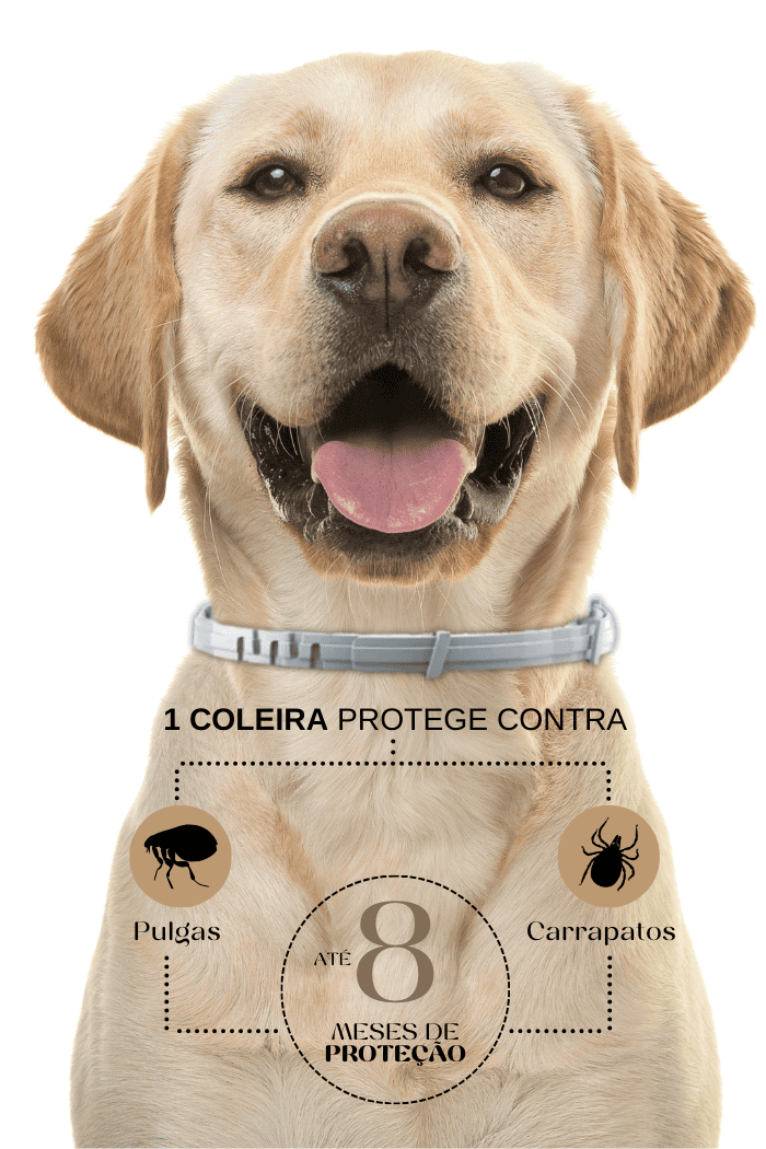 Coleira Antipulgas de Silicone para Cães e Gatos - Select