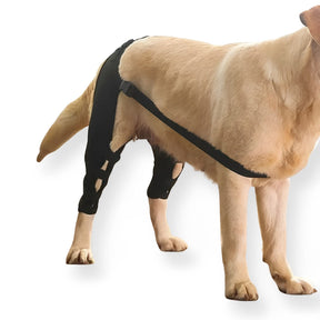 Suporte Para Pernas Traseiras de Cachorro - Select