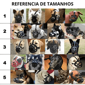 Focinheira para Cães - Select